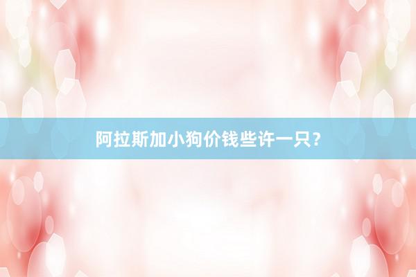 阿拉斯加小狗价钱些许一只？