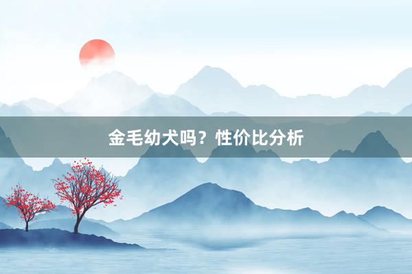 金毛幼犬吗？性价比分析